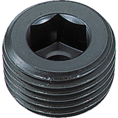 Taper Plug(Sunk Head Plug)  B83-0114  TRUSCO