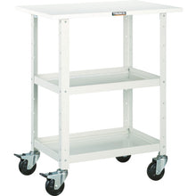 Load image into Gallery viewer, Birdy Wagon  BDW-962T-W  TRUSCO

