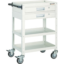 Load image into Gallery viewer, Birdy Wagon  BDW-973V2U-W  TRUSCO
