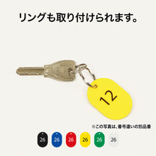 Load image into Gallery viewer, Styrene Number Ticket  BF-71-GN  OP
