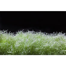 Load image into Gallery viewer, Mug Bottle Brush  BH-46  SANKO
