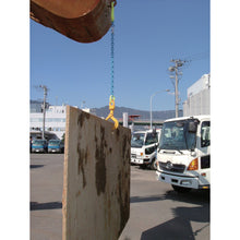 Load image into Gallery viewer, Swivel Hook  BMS-3  MARTEC
