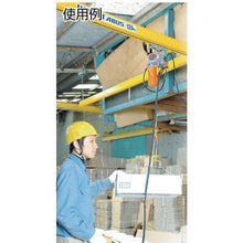 Load image into Gallery viewer, Beta type Electric Chain Hoist(Single-speed type)  BS-K1230  ELEPHANT
