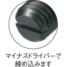 Load image into Gallery viewer, Ball Plunger  BST4  kipp
