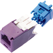 Load image into Gallery viewer, Mini-Com Module, Cat 6A, UTP  CJ6X88TGVL  PANDUIT

