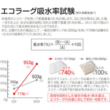 Load image into Gallery viewer, Ecorug  CL-363-124-0  TERAMOTO
