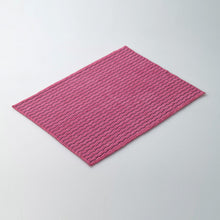 Load image into Gallery viewer, Antibacterial Microfiber Cloth  CL-374-910-2  TERAMOTO
