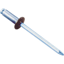 Load image into Gallery viewer, Colored Blind Rivets  CNSA52BR  LOBSTER
