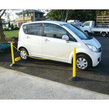 Load image into Gallery viewer, Color Plastic Pole Set  CP-0721  CAR-BOY
