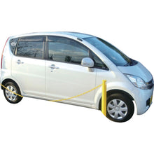 Load image into Gallery viewer, Color Plastic Pole Set  CP-0721  CAR-BOY
