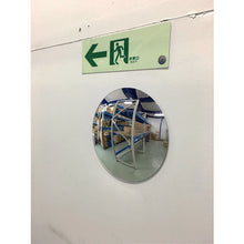 Load image into Gallery viewer, Color Plastic Pole  CP65  CAR-BOY
