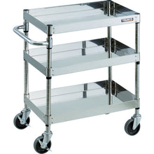 Load image into Gallery viewer, Clean Phoenix Wagon  CPE3-763  TRUSCO
