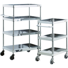 Load image into Gallery viewer, Clean Phoenix Wagon  CPE3-963  TRUSCO
