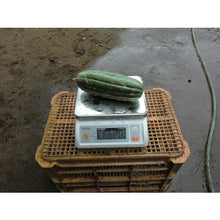 Load image into Gallery viewer, Water Proof Digital Scale  CS-2000WP  CUSTOM
