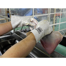 Load image into Gallery viewer, Solvent-resistant Gloves DAILOVE 5000 Series  D5000-LL  DAILOVE
