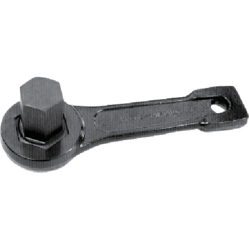 Striking Face Spanner with Hex Bit  DA2700  ASH