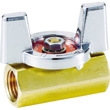Load image into Gallery viewer, Brass Screwed type Ball Valves  DBV-12D-BU-R  FUJIKIN
