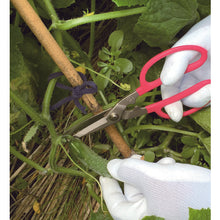 Load image into Gallery viewer, Garden Scissors  DK660  Doukan
