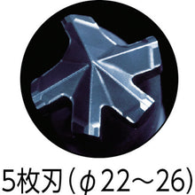 Load image into Gallery viewer, Deltagon Bit Hex Shank  DLHEX125  MIYANAGA
