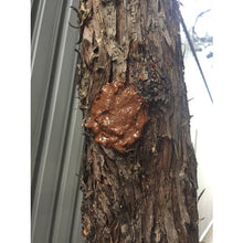 Load image into Gallery viewer, Tree Tincture  DM-20  YUTAKAMAKE
