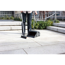 Load image into Gallery viewer, Dustpan  DP-462-100-7  TERAMOTO
