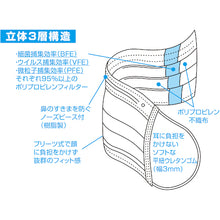 Load image into Gallery viewer, Daily Mask(3-Layers Plated Mask)  DPM-DM95  TRUSCO
