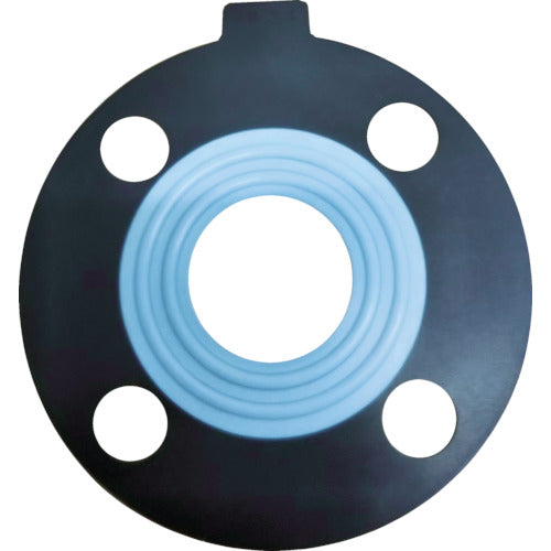 EPDM PTFE Gasket   DP-PTFE-10K-100A  Daiko