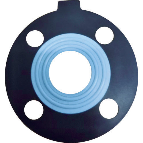 EPDM PTFE Gasket   DP-PTFE-10K-15A  Daiko