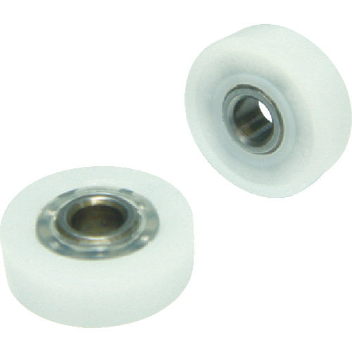 Plastic Bearing DR-S  041611  TOK