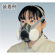 Load image into Gallery viewer, Dust Respirator  DR80SL4N(M/L)  TS
