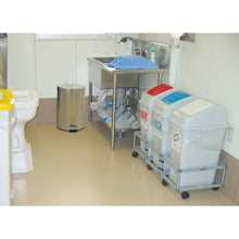 Load image into Gallery viewer, Pedal Box Stainless Lifter Bin  DS-238-520-0  TERAMOTO
