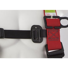 Load image into Gallery viewer, Full Body Harness  EHNN-10B-L  TITAN
