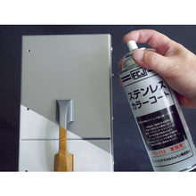 Load image into Gallery viewer, Stainless Color Coat Spray  FC-113  FCJ
