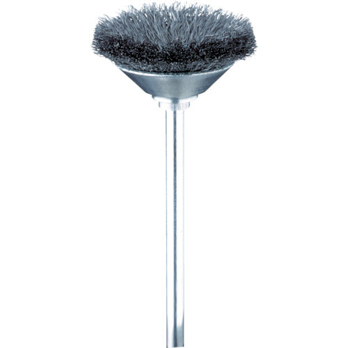 Beveled Wire Brushes  FC4901  Minimo