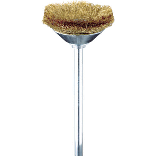 Beveled Wire Brushes  FC4931  Minimo