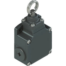 Load image into Gallery viewer, Limit Switch FL series  FL 676  Pizzato
