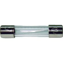 Load image into Gallery viewer, Glass Tube Fuse  FP-FGBO-250V-10A-2P-PBF  FUJI TERMINAL
