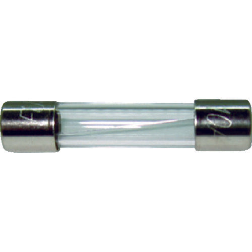 Glass Tube Fuse  FP-FGBO-250V-10A-2P-PBF  FUJI TERMINAL