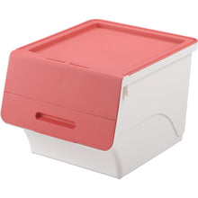 Load image into Gallery viewer, Froq  FR-30P/WH  SANKA
