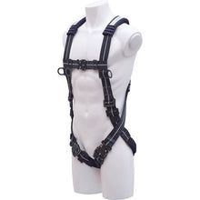 Load image into Gallery viewer, Full Body Harness  FXVGSL-L2  KH
