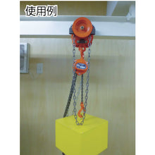 Load image into Gallery viewer, Manual Geared Trolley  GT-00525  ELEPHANT
