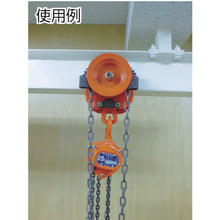 Load image into Gallery viewer, Manual Geared Trolley  GT-00525  ELEPHANT
