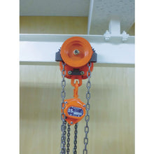 Load image into Gallery viewer, Manual Geared Trolley  GT-01025  ELEPHANT
