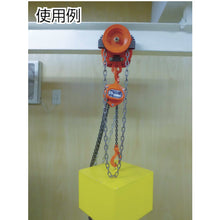 Load image into Gallery viewer, Manual Geared Trolley  GT-03130  ELEPHANT
