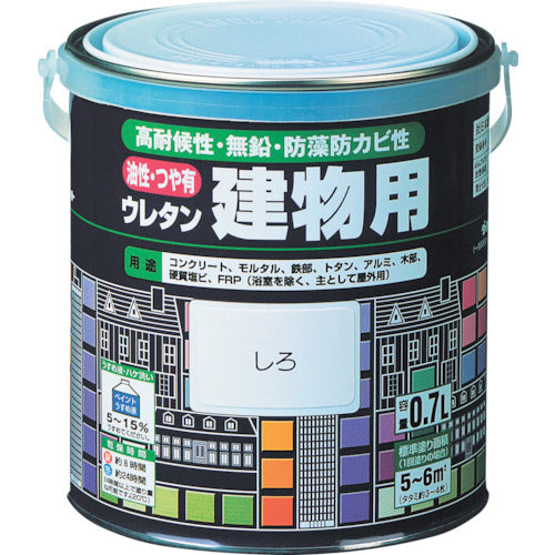 Urethan Paint for Building  H06-1611 03  ROCK