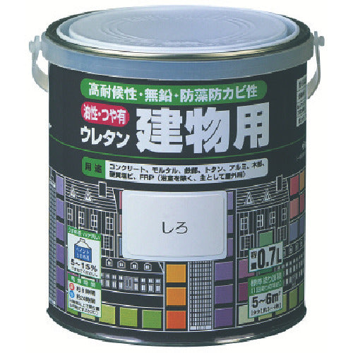 Urethan Paint for Building  H06-1611 6S  ROCK