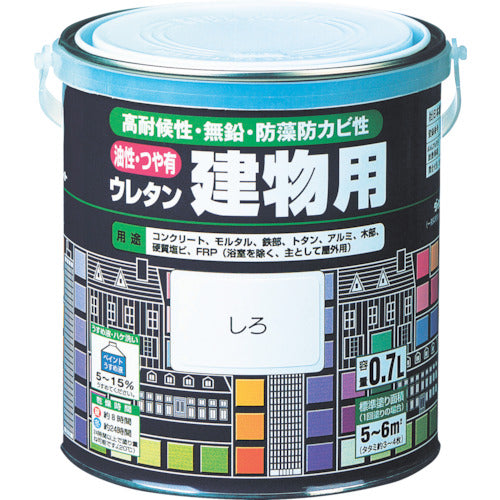 Urethan Paint for Building  H06-1612 6S  ROCK