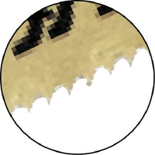 Load image into Gallery viewer, Jig Saw Blade  H-1125  HOUSE BM
