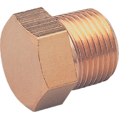 Hexagon Plug  HP-1001R  ASOH