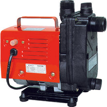 Load image into Gallery viewer, Self-priming Handy Pump  HP-100  TERADA
